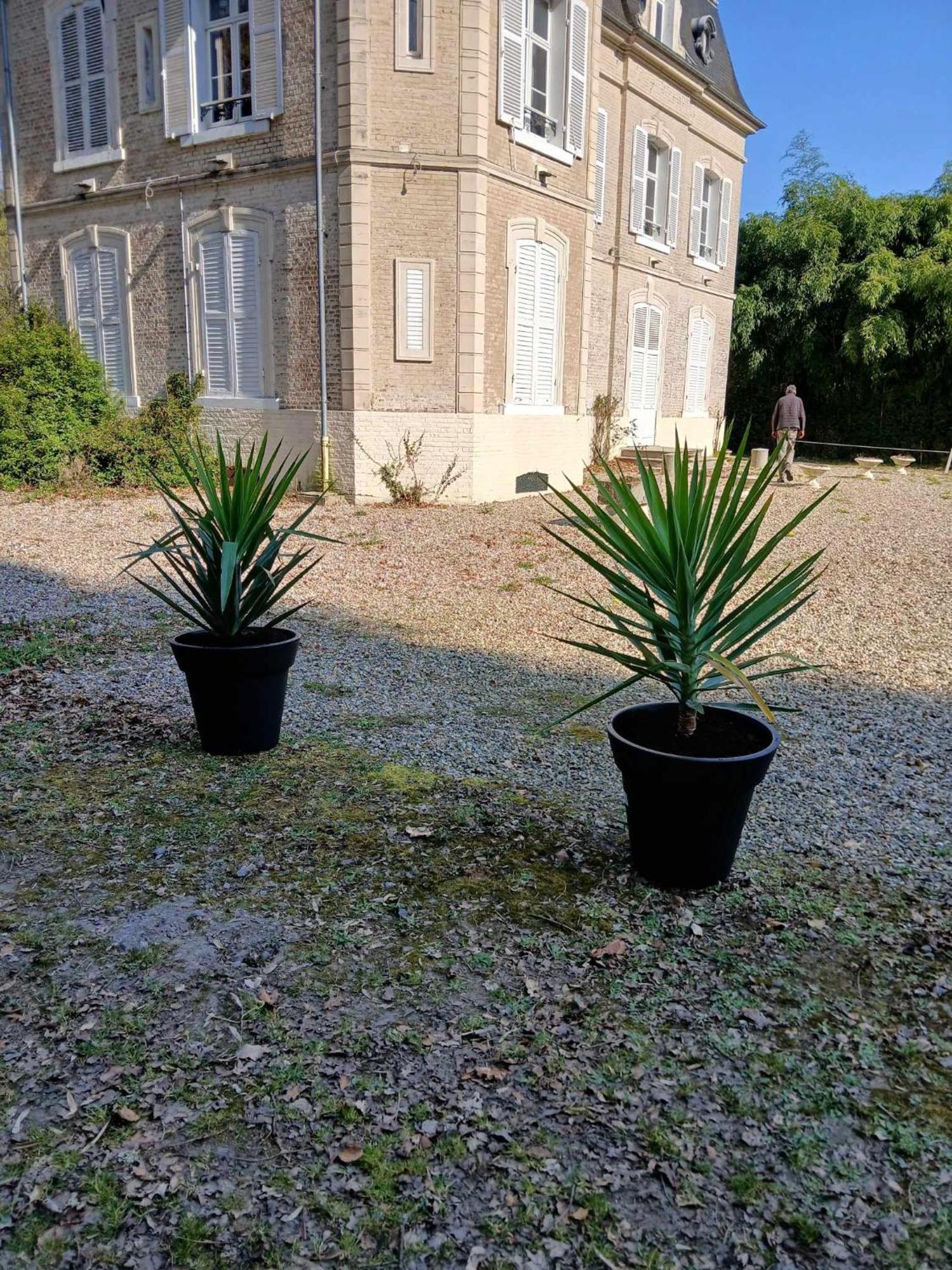 Gite Chateau Baie De Somme 10 A 12 Personnes Holiday home *